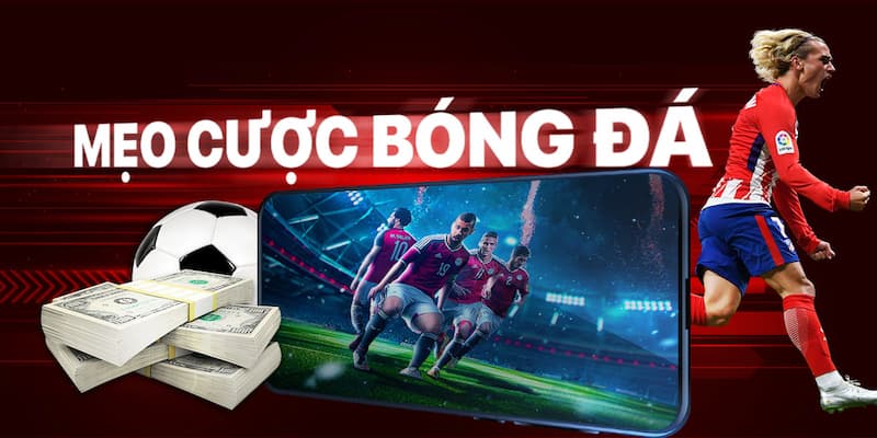 Các bước xây dựng kinh nghiệm cá cược nhà cái