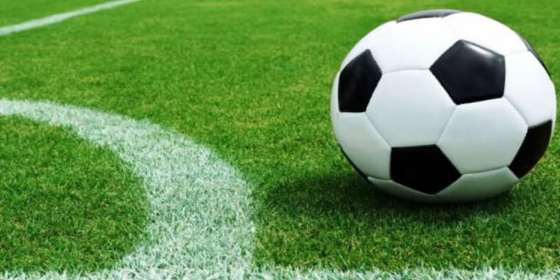 Cập nhật mẹo cá cược từ bet thủ Cập nhật mẹo cá cược từ bet thủ