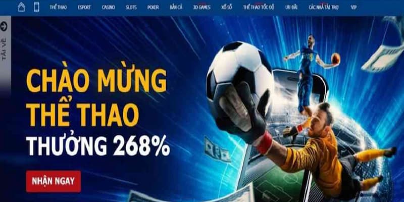 Giao diện và trải nghiệm người dùng
