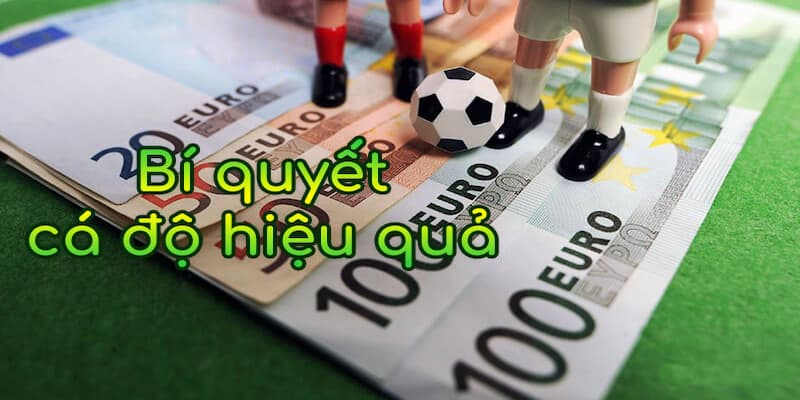 Nhà cái cá cược bóng đá Không đặt cược quá mức