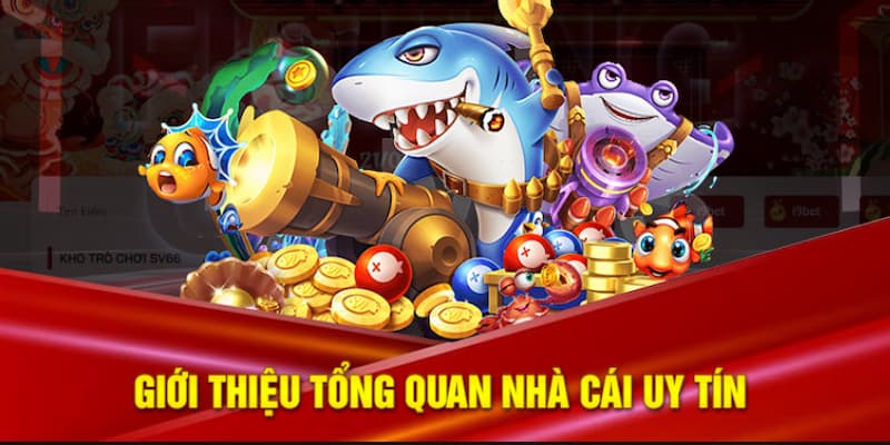 Nhà cái thưởng nạp lần đầu Lý do nhà cái triển khai thưởng nạp lần đầu