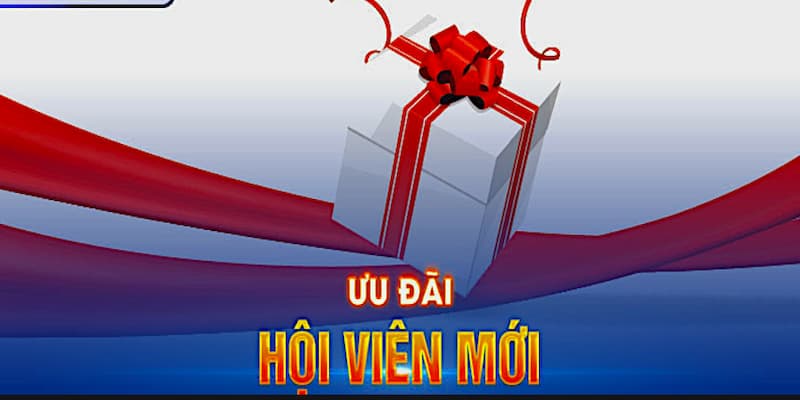 Mẹo tận dụng tối đa lợi ích