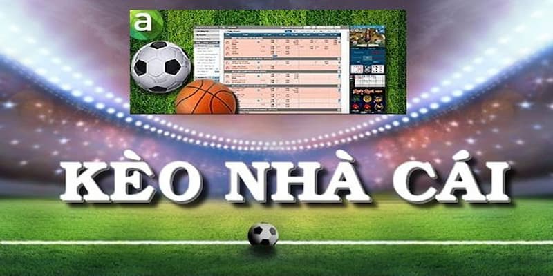 Giới thiệu Vai trò quan trọng của Nhà cái uy tín